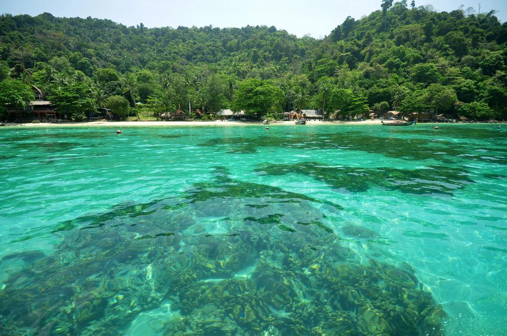 Rantee View Bungalow Νησί Phi Phi Εξωτερικό φωτογραφία